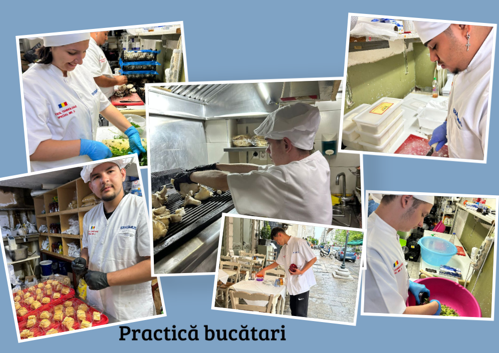 19.Practica bucatari