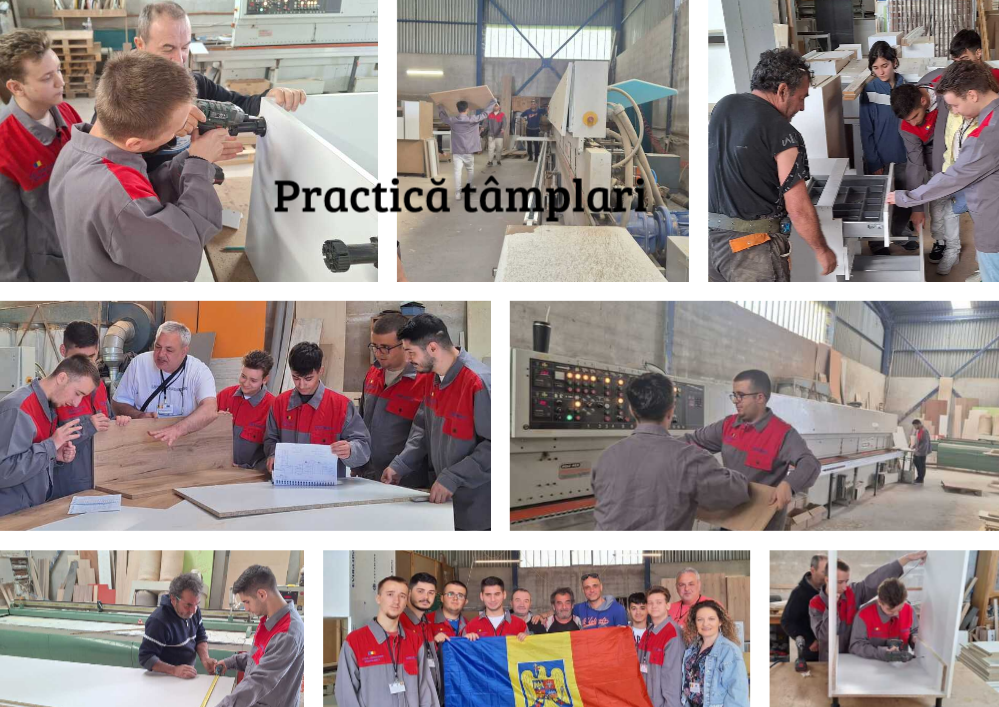 23.Practica tamplari