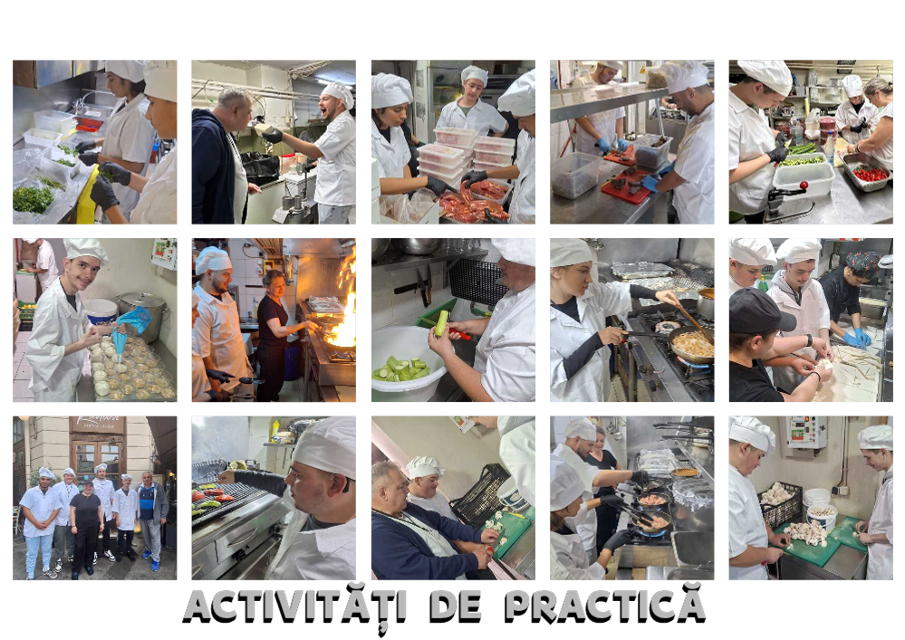 20. Practica 1