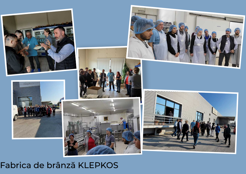 6. Fabrica de branza Klepkos 2