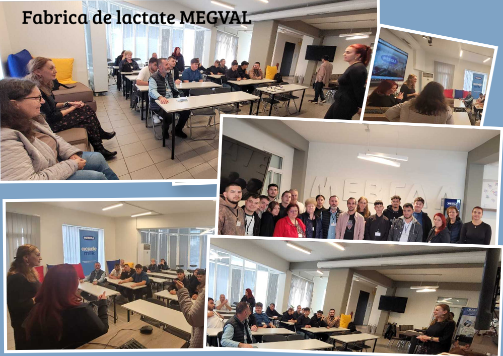 8. Fabrica de lactate Megval